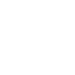 offer-icon